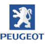 Car Brand