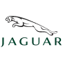 Car Brand